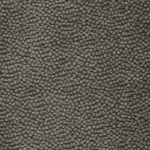 Greenhouse Fabric S3597 Charcoal