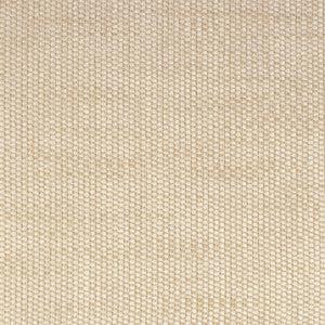 Greenhouse Fabric S3678 Parchment