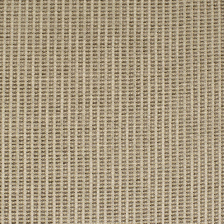S3689 Mushroom by Greenhouse Designer Fabric 37.83% Pcr Polyester, 29.33% Polyester, 19.31% Rayon, 13.53% Cotton USA 33,000 double rubs </p><p>Repeat: .313" H, .063" V 55" - Swanky Fabrics -