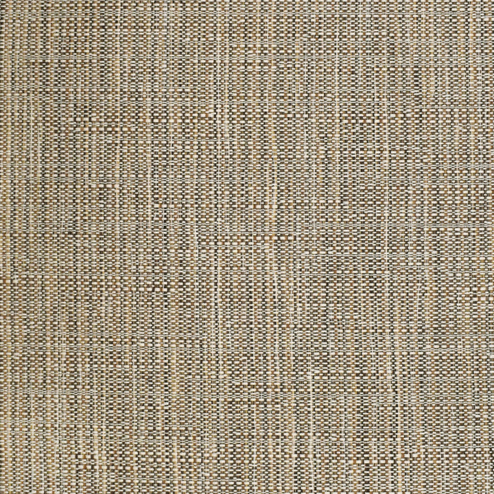 S3703 Twig by Greenhouse Designer Fabric S48: Crypton Home Neutrals 63.47% Olefin, 36.53% Cotton USA 33,000 double rubs Performance </p><p>Repeat: 7.063" H, 16.5" V 55" - Swanky Fabrics -