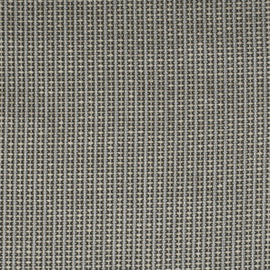 Greenhouse Fabric S3729 Thunder