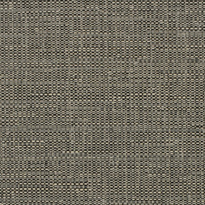 Greenhouse Fabric S3739 Graphite