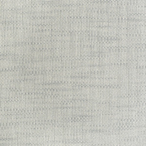 Greenhouse Fabric S3753 Cloud
