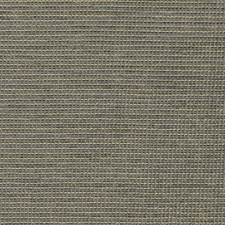 S3831 Mercury by Greenhouse Designer Fabric 95% Polyester, 5% Viscose China 50,000 double rubs </p><p>Repeat: None 55" - Swanky Fabrics -