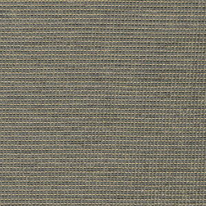 Greenhouse Fabric S3831 Mercury