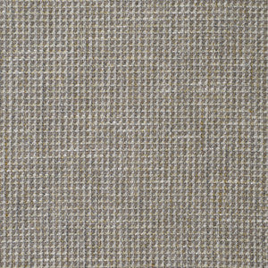 Greenhouse Fabric S3836 Travertine