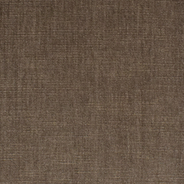 S3871 Birch by Greenhouse Designer Fabric 62% Polyester, 38% Cotton India 51,000 double rubs </p><p>Repeat: None 54" - Swanky Fabrics -