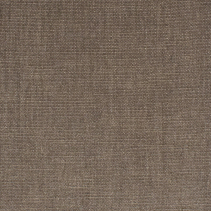 S3871 Birch by Greenhouse Designer Fabric 62% Polyester, 38% Cotton India 51,000 </p><p>Repeat: None 54" - Swanky Fabrics -