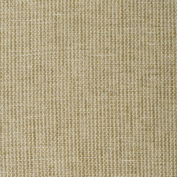 S3887 Stonewash by Greenhouse Designer Fabric S52: Oyster 100% Polyester India 100,000 double rubs </p><p>Repeat: None 56" - Swanky Fabrics -