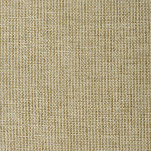 Greenhouse Fabric S3887 Stonewash