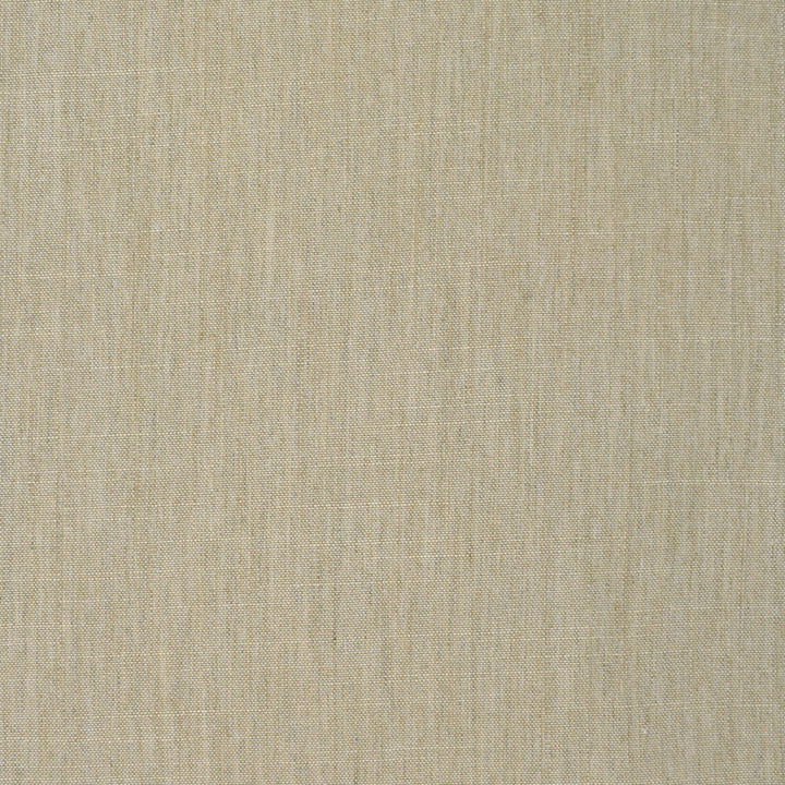 S3905 Natural by Greenhouse Designer Fabric 100% Polyester India 30,000 </p><p>Repeat: None 54" - Swanky Fabrics -