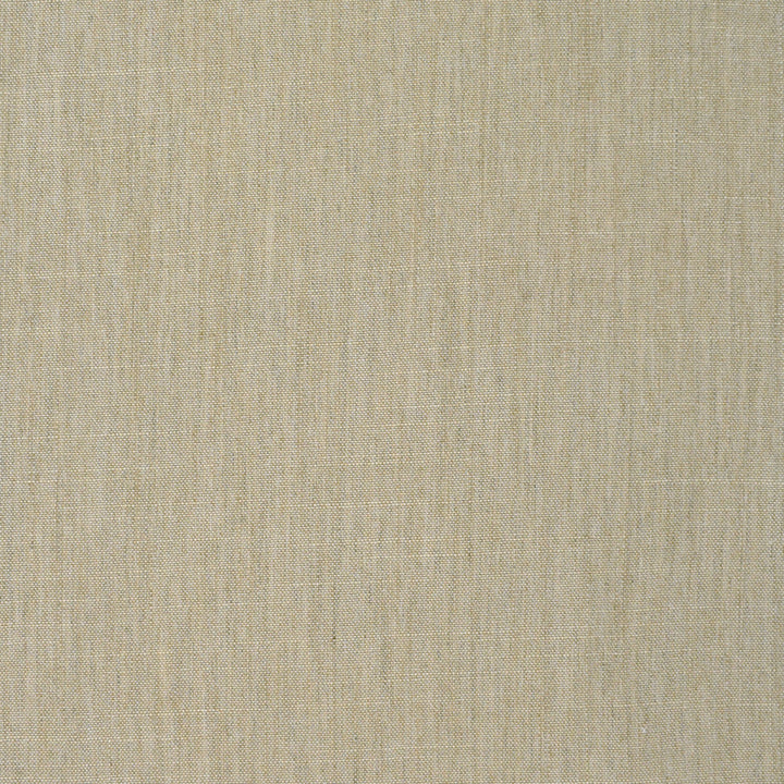 S3905 Natural by Greenhouse Designer Fabric 100% Polyester India 30,000 double rubs </p><p>Repeat: None 54" - Swanky Fabrics -