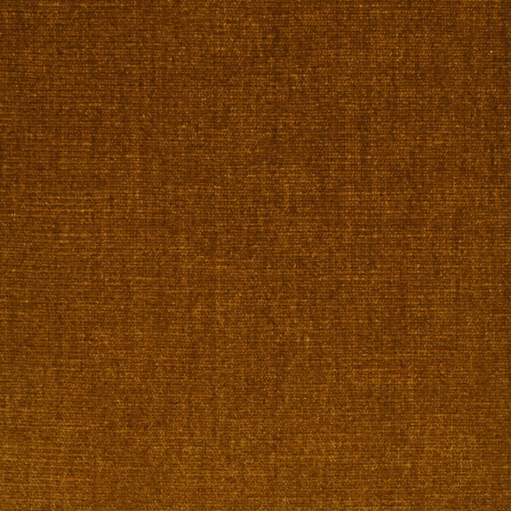S3935 Honey by Greenhouse Designer Fabric S68: Performance Chenille 62% Polyester, 38% Cotton India 51,000 double rubs Water & Soil Repellent </p><p>Repeat: None 54" - Swanky Fabrics -
