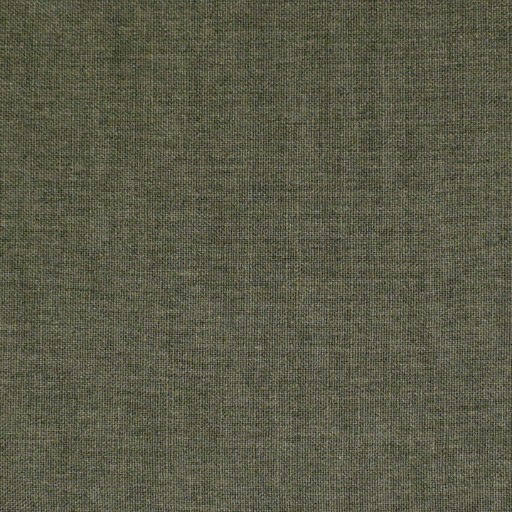 S3939 Forest by Greenhouse Designer Fabric S53: Meadow 100% Polyester India 30,000 double rubs </p><p>Repeat: None 54" - Swanky Fabrics -