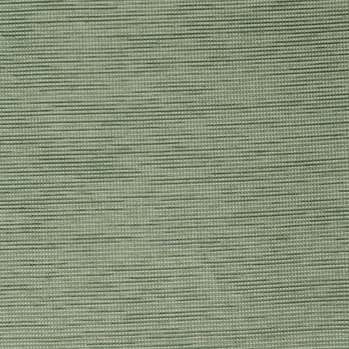 S3940 Juniper by Greenhouse Designer Fabric 95% Polyester, 5% Viscose China 50,000 </p><p>Repeat: None 55" - Swanky Fabrics -