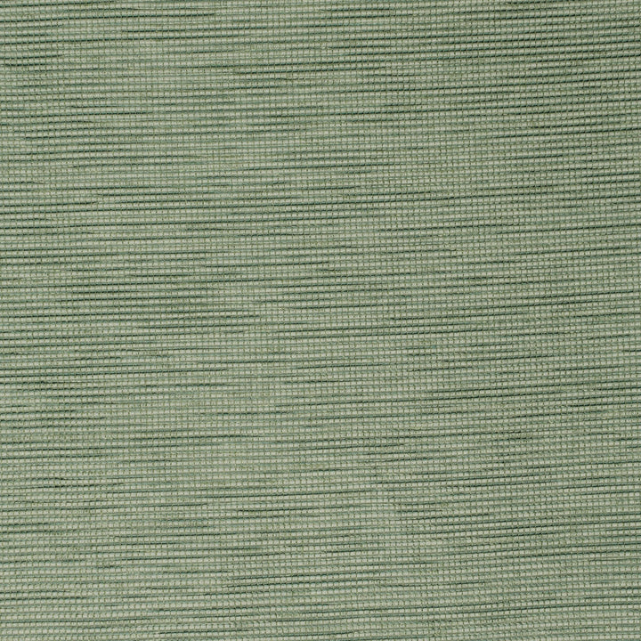 S3940 Juniper by Greenhouse Designer Fabric 95% Polyester, 5% Viscose China 50,000 double rubs </p><p>Repeat: None 55" - Swanky Fabrics -