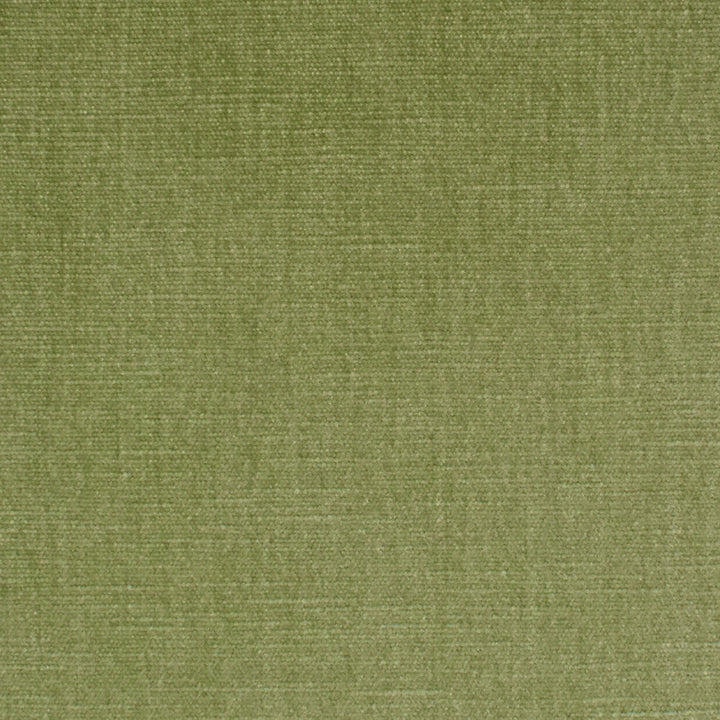 S3952 Aloe by Greenhouse Designer Fabric S68: Performance Chenille 62% Polyester, 38% Cotton India 51,000 double rubs Water & Soil Repellent </p><p>Repeat: None 54" - Swanky Fabrics -