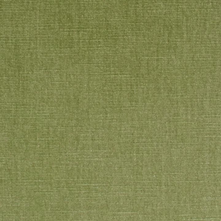 S3952 Aloe by Greenhouse Designer Fabric 62% Polyester, 38% Cotton India 51,000 </p><p>Repeat: None 54" - Swanky Fabrics -