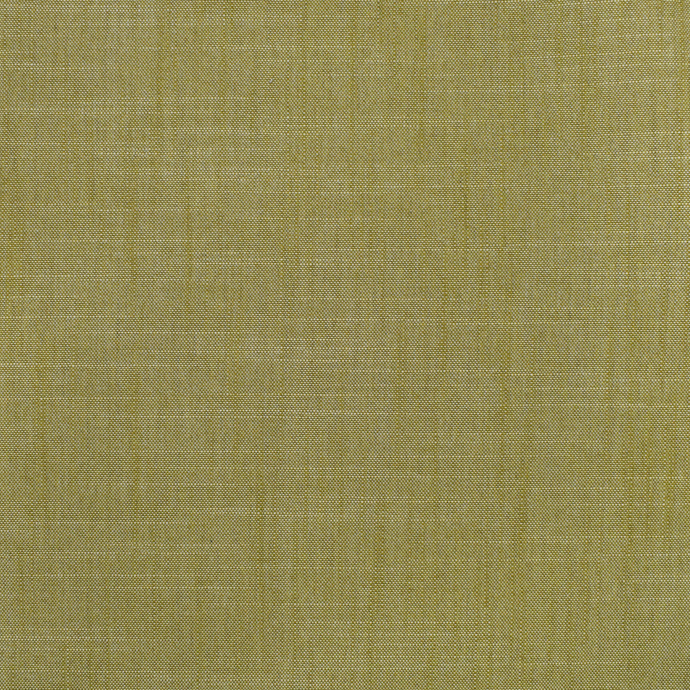 S3954 Fern by Greenhouse Designer Fabric S53: Meadow 100% Polyester India 30,000 double rubs </p><p>Repeat: None 54" - Swanky Fabrics -
