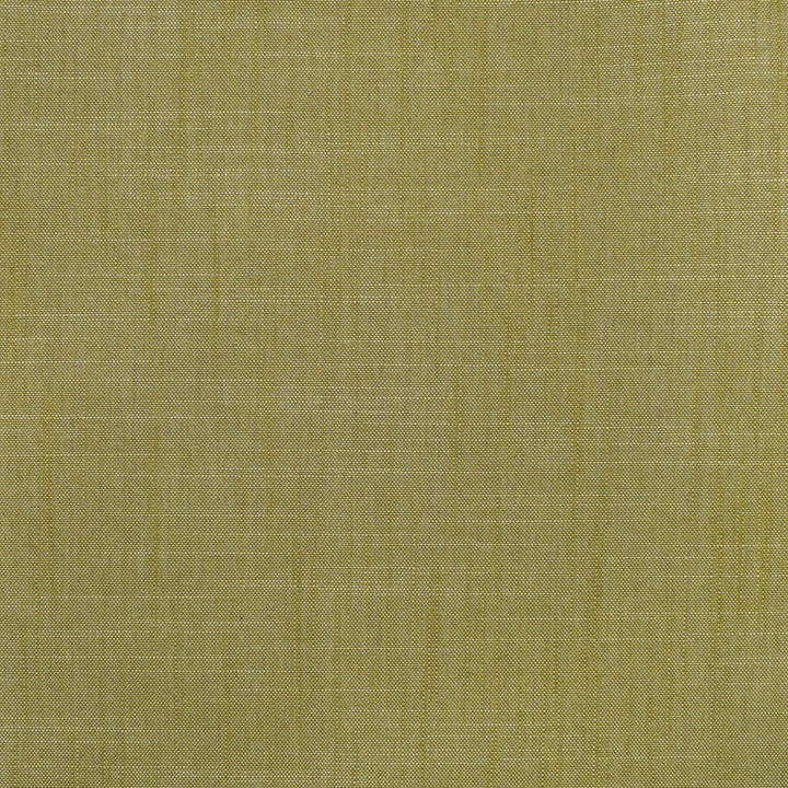 S3954 Fern by Greenhouse Designer Fabric S53: Meadow 100% Polyester India 30,000 double rubs </p><p>Repeat: None 54" - Swanky Fabrics -