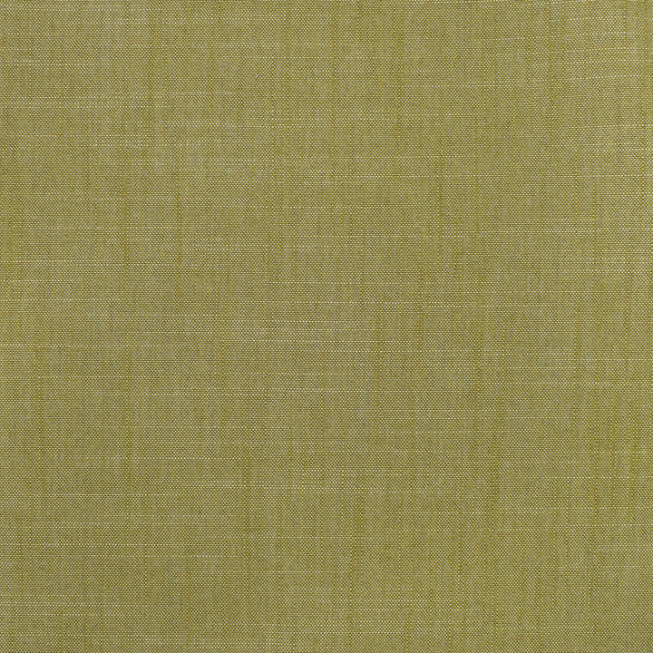 S3954 Fern by Greenhouse Designer Fabric 100% Polyester India 30,000 </p><p>Repeat: None 54" - Swanky Fabrics -