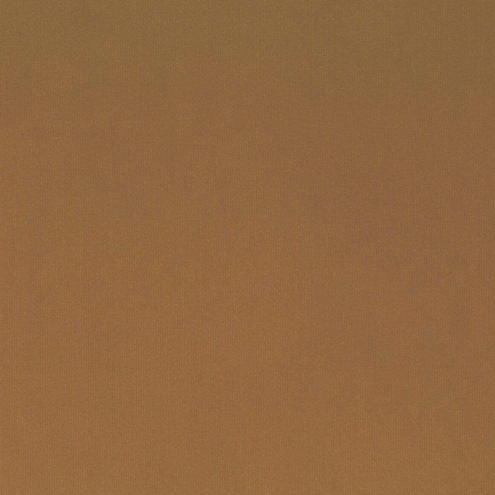 S4151 Caramel by Greenhouse Designer Fabric 100% Polyester Indonesia 120,000 </p><p>Repeat: None 56" - Swanky Fabrics -