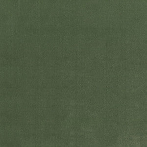 Greenhouse Fabric S4155 Fern