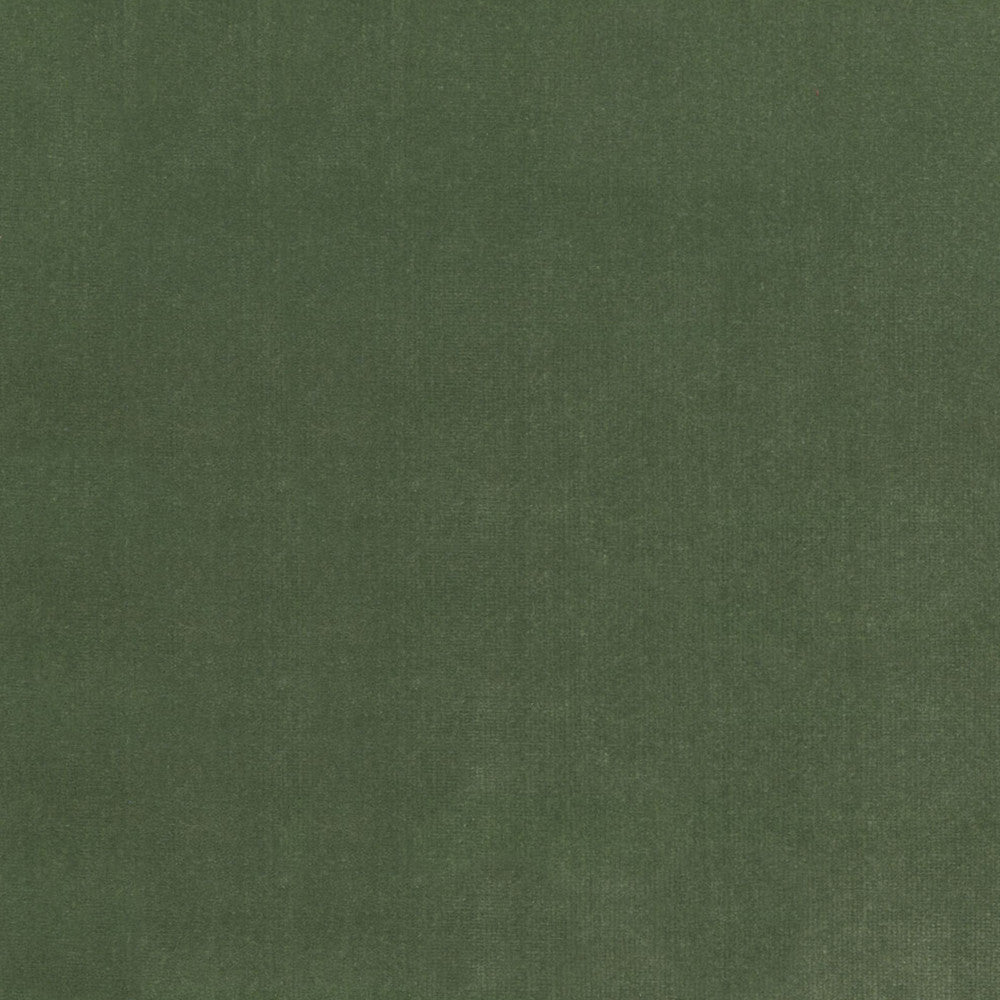 S4155 Fern by Greenhouse Designer Fabric 100% Polyester Indonesia 120,000 double rubs </p><p>Repeat: None 56" - Swanky Fabrics -