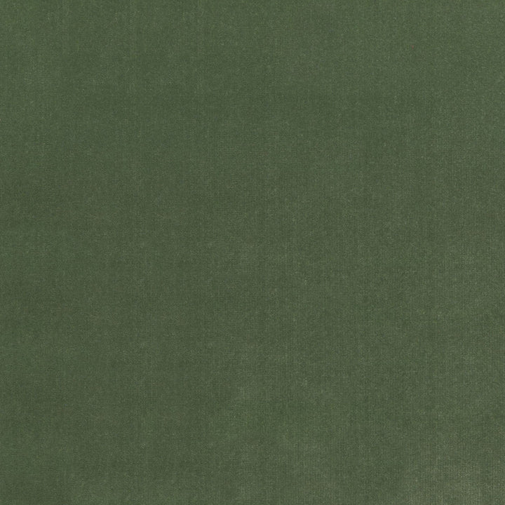S4155 Fern by Greenhouse Designer Fabric M13: Memos by Color 100% Polyester Indonesia 120,000 double rubs </p><p>Repeat: None 56" - Swanky Fabrics -