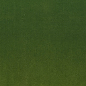 Greenhouse Fabric S4160 Lime