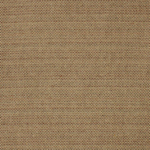 Greenhouse Fabric S4213 Sienna