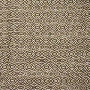 Greenhouse Fabric S4217 Earth