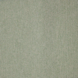 Greenhouse Fabric S4223 Moss