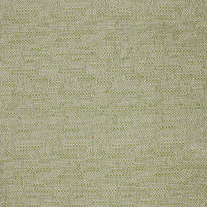 Greenhouse Fabric S4225 Pistachio