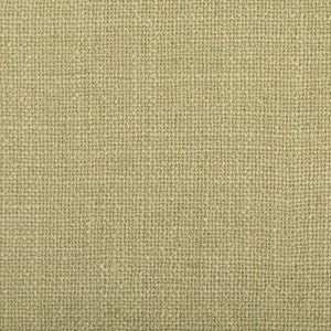 Greenhouse Fabric S4264 Sprig