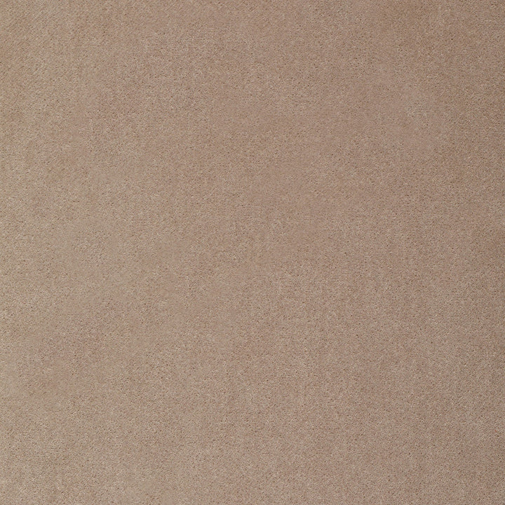 S4350 Linen by Greenhouse Designer Fabric 100% Polyester India 50,000 </p><p>Repeat: None 54" - Swanky Fabrics -