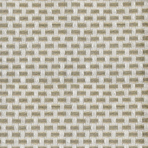 Greenhouse Fabric S4404 Twine