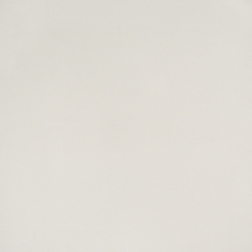 S4408 Ivory by Greenhouse Designer Fabric 100% Polyester China 63,000 </p><p>Repeat: None 56" - Swanky Fabrics -