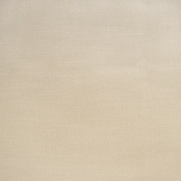 S4424 Pearl by Greenhouse Designer Fabric S62: Outdoor Performance 100% Polyester (Uv) USA 63,000 double rubs </p><p>Repeat: .063" H, .063" V 56" - Swanky Fabrics -