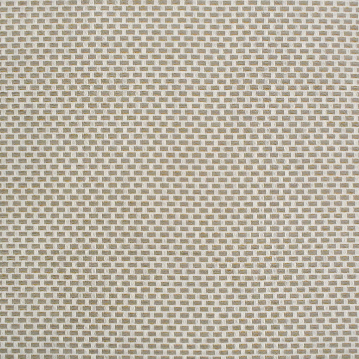 S4439 Birch by Greenhouse Designer Fabric 98.28% Polyester (Uv), 1.72% Pcr Polyester (Uv) USA 63,000 </p><p>Repeat: .5" H, .5" V 58" - Swanky Fabrics -