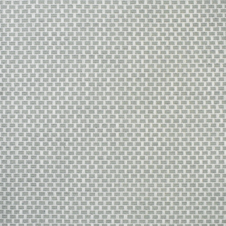S4464 Celadon by Greenhouse Designer Fabric S63: Outdoor Performance 98.28% Polyester (Uv), 1.72% Pcr Polyester (Uv) USA 63,000 double rubs </p><p>Repeat: .5" H, .5" V 58" - Swanky Fabrics -
