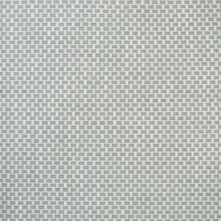 S4464 Celadon by Greenhouse Designer Fabric 98.28% Polyester (Uv), 1.72% Pcr Polyester (Uv) USA 63,000 </p><p>Repeat: .5" H, .5" V 58" - Swanky Fabrics -
