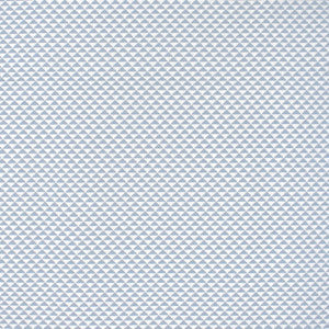 Greenhouse Fabric S4535 Sky