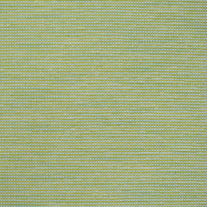 Greenhouse Fabric S4546 Capri
