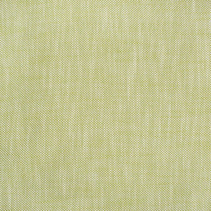 Greenhouse Fabric S4551 Palm