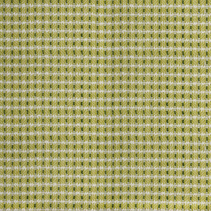 Greenhouse Fabric S4553 Leaf