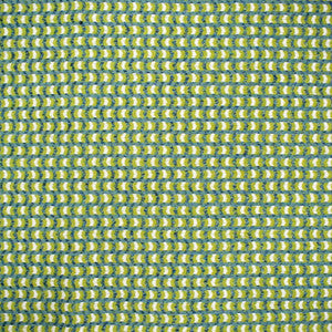 Greenhouse Fabric S4555 Capri