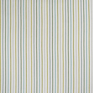 Greenhouse Fabric S4556 Island