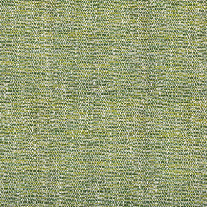 Greenhouse Fabric S4557 Endive