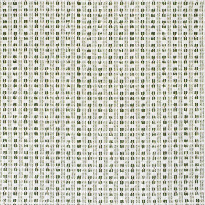 S4560 Celadon by Greenhouse Designer Fabric 80.02% Polyester (Uv), 19.98% Olefin USA 63,000 </p><p>Repeat: .75" H, .625" V 56" - Swanky Fabrics -